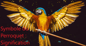 Symbole du Perroquet : Signification