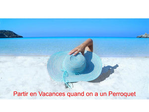 Partir en Vacances quand on a un Perroquet